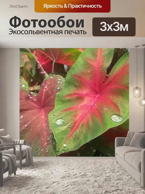 Фотообои Ботанический