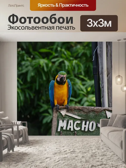 Фотообои Древесина