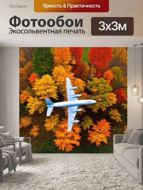 Фотообои самолет в стиле минимализм на фоне осенних листьев