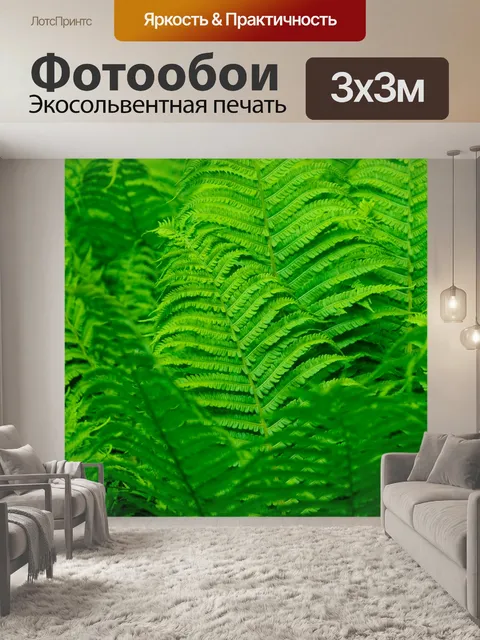 Фотообои Зеленый папоротник фон