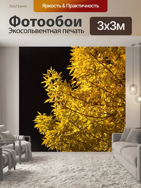 Фотообои Осень
