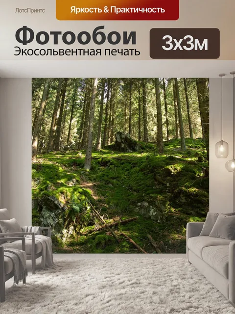 Фотообои Лес