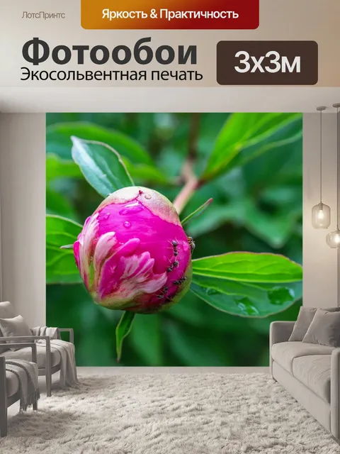 Фотообои Природа