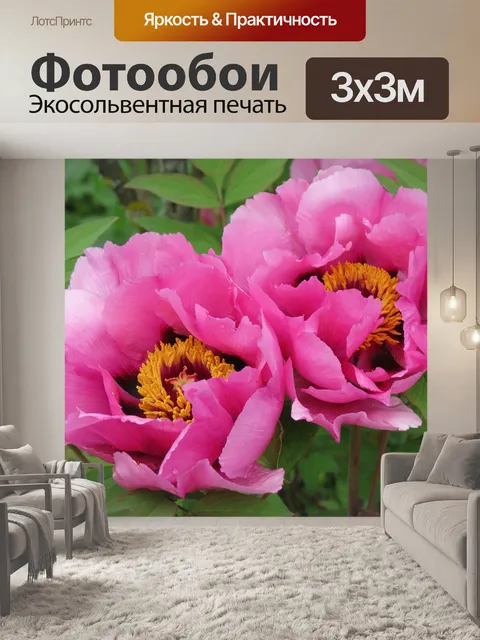 Фотообои Пионы