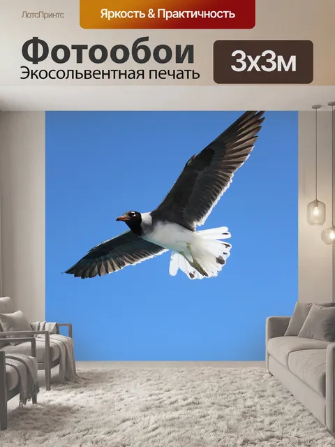 Фотообои Море