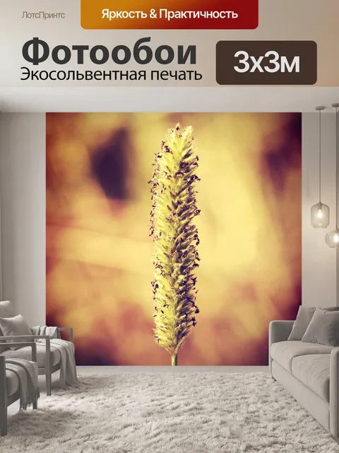 Фотообои Красивый цветок