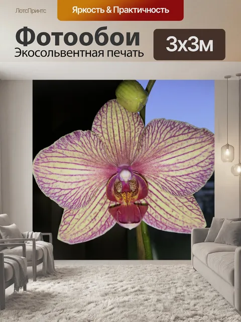 Фотообои Цветок