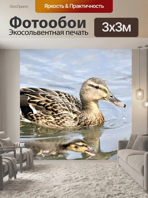 Фотообои Птица