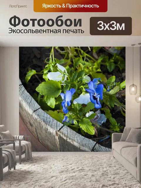 Фотообои Цветы