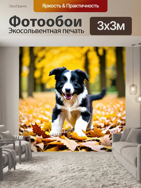 Фотообои бордер-колли, весело щенок, играющий с упавшими листьями осенью