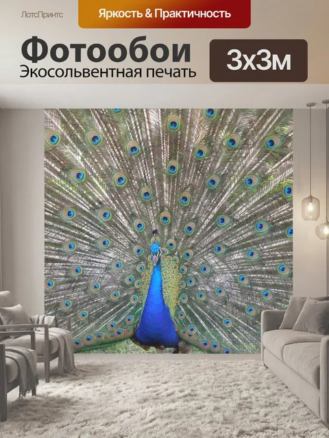 Фотообои Павлин