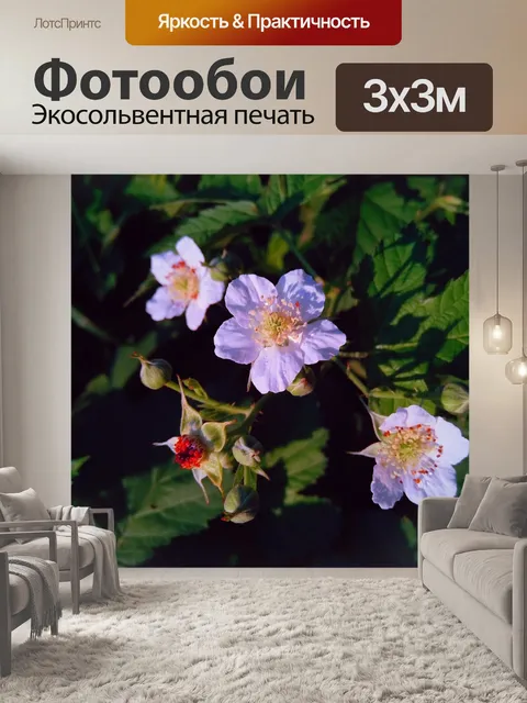 Фотообои Ежевика
