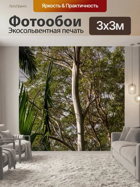Фотообои Эвкалипт
