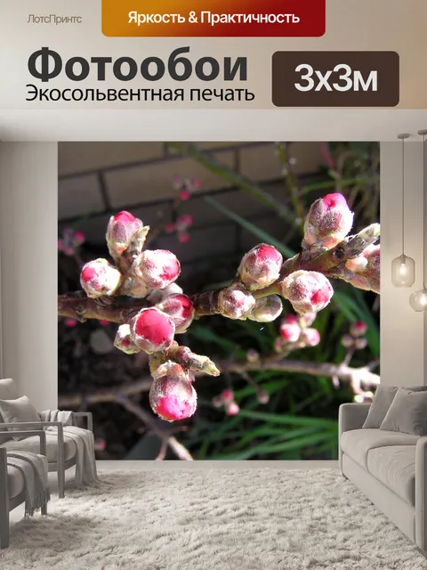 Фотообои Цветение