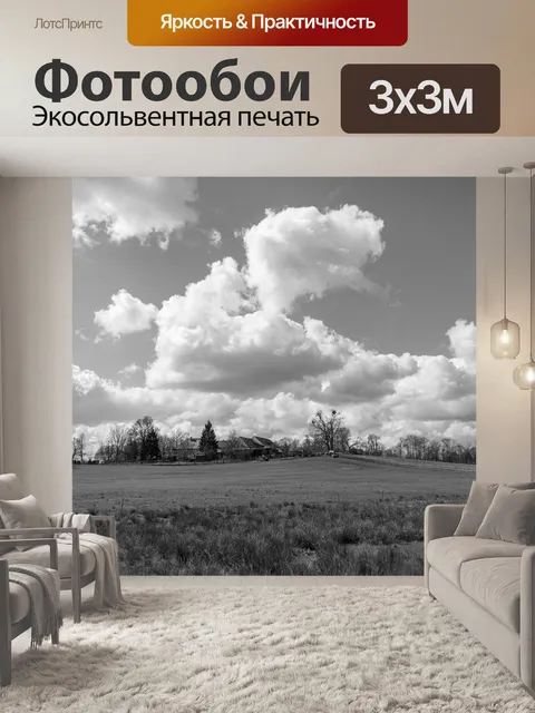 Фотообои Черно-белый