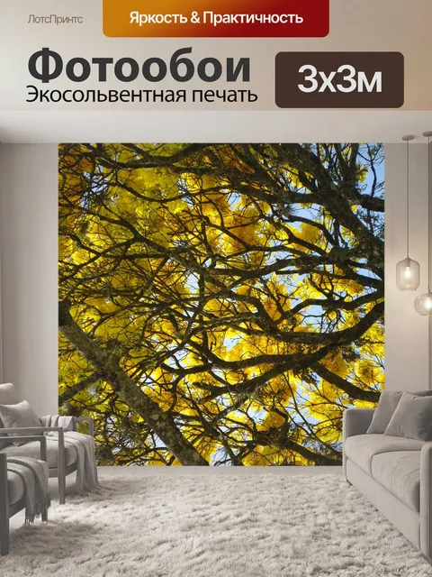 Фотообои Дерево