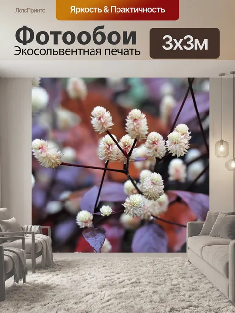 Фотообои Цветы