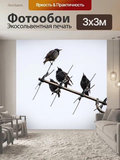 Фотообои Птицы сидят на Антенны