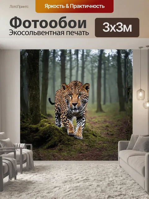 Фотообои в туманном лесу, леопард