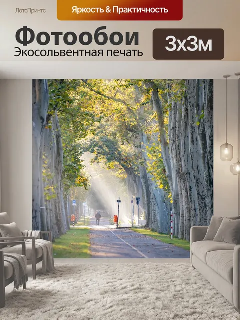 Фотообои Деревья