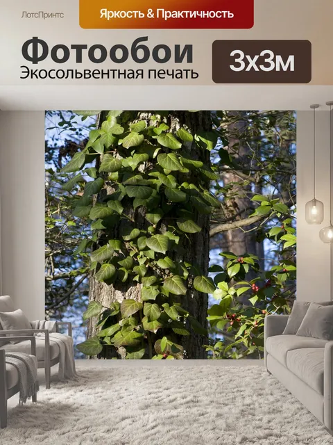 Фотообои Листья