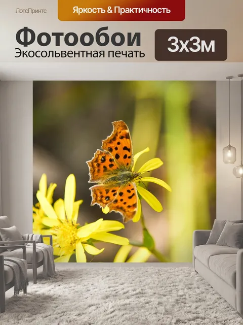 Фотообои Бабочка