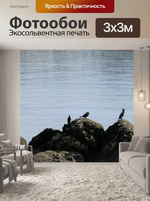 Фотообои Бакланы