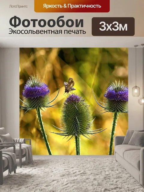 Фотообои Карта