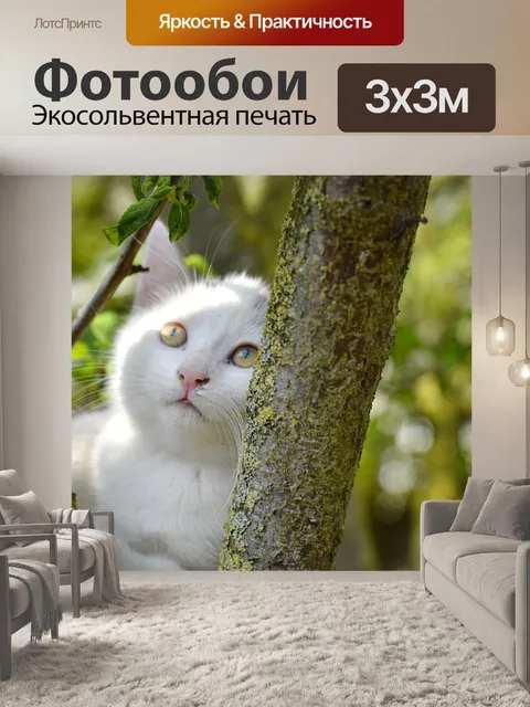 Фотообои Котенок