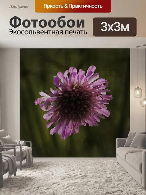 Фотообои Цветок