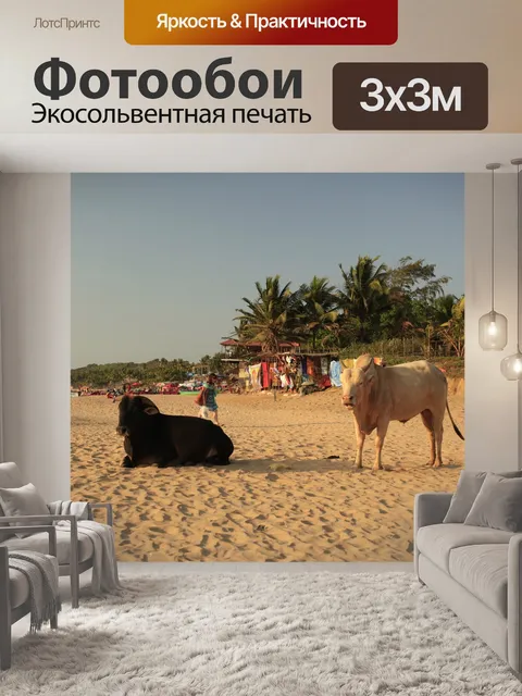 Фотообои Коровы