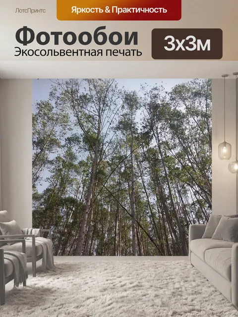 Фотообои Бразилия