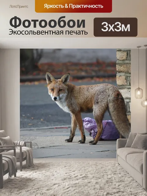Фотообои Fox на улице