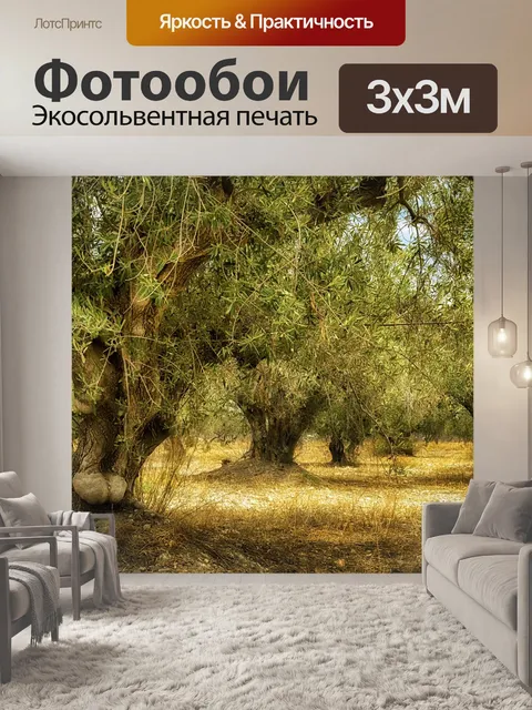Фотообои Старое оливковое дерево