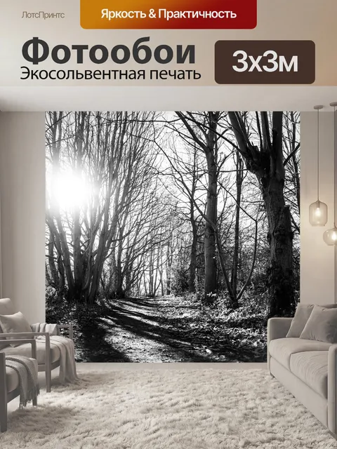 Фотообои Лучи солнца