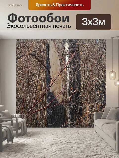 Фотообои Обшитый ствол дерева