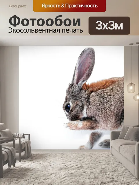 Фотообои Кролик