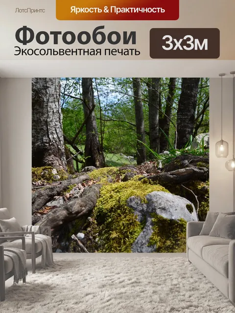 Фотообои Мох