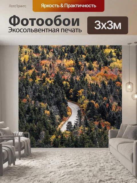 Фотообои Дорога