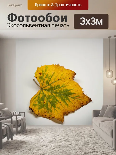 Фотообои Листья