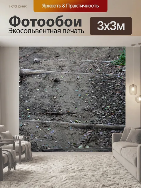 Фотообои пешеходная тропа в прибрежном лесу