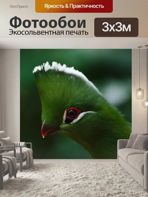Фотообои Птица