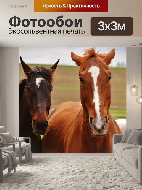 Фотообои Лошади