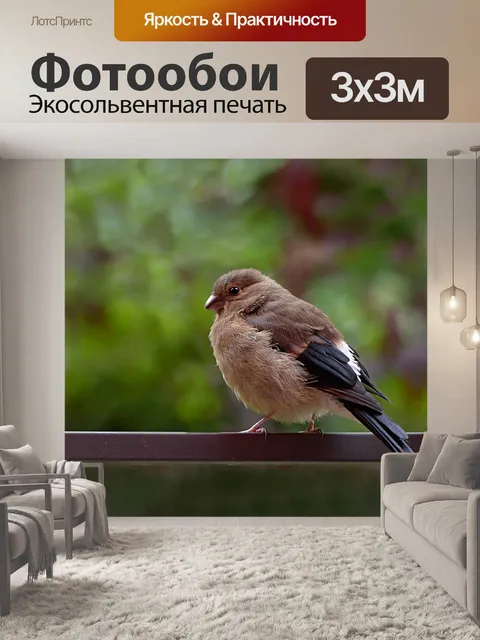 Фотообои Птица