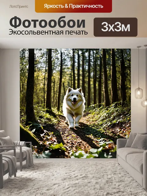Фотообои в глубине леса, самоедская лайка медленно пробирается через густые подлески