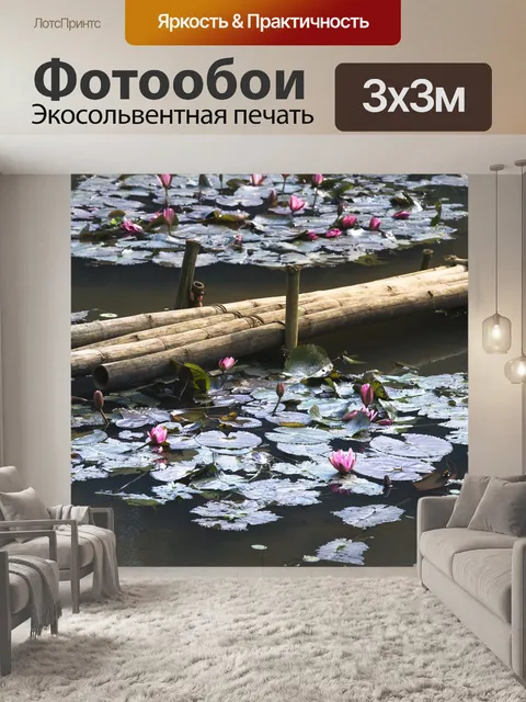 Фотообои Лили