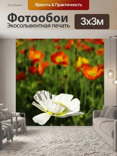 Фотообои Цветы