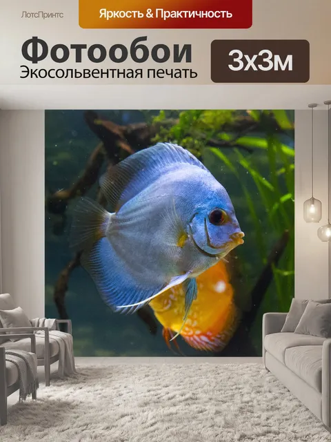 Фотообои Рыбы