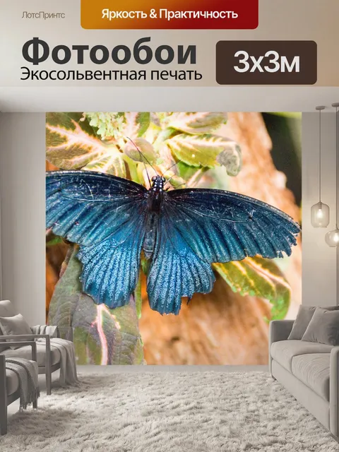Фотообои Бабочка