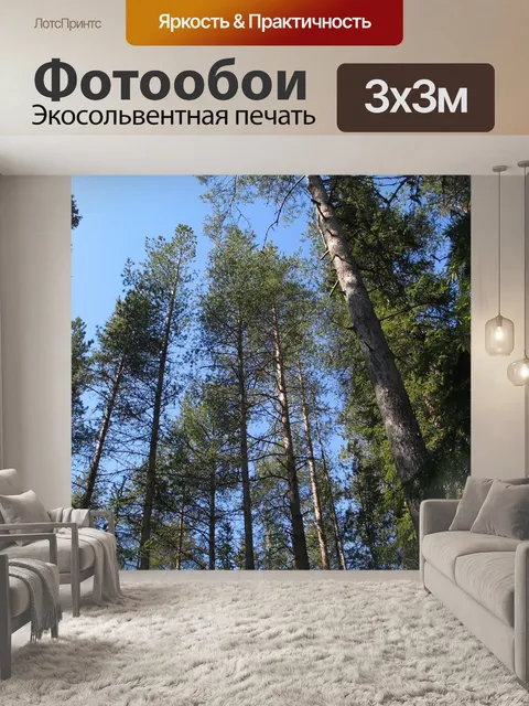 Фотообои Сосновый лес